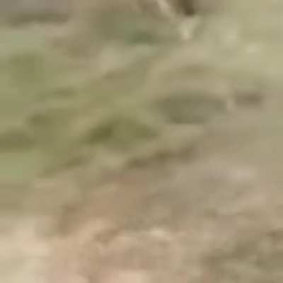 To use firearm properly