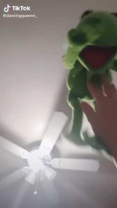 Kermit no Kermit oh my god why isn’t he speaking Kermit what day is it oh my god fuck fuck fuck fuck