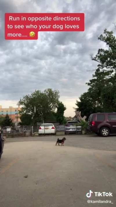 When that “Who does your dog love more?” trick causes great malfunction ?? that poor dog lmao