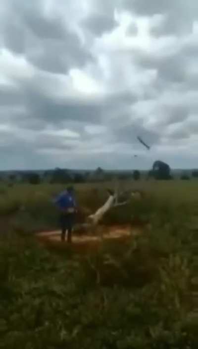 could be me, receiving TREE REWARD ??