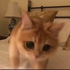 Those eyes