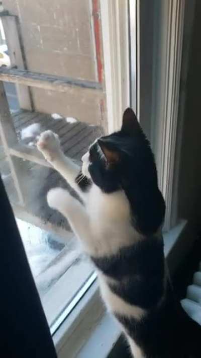 Dewie the window cleaner ??