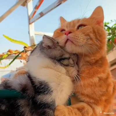 There there...