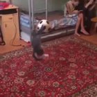 Well cleared - perfect goalkeeper