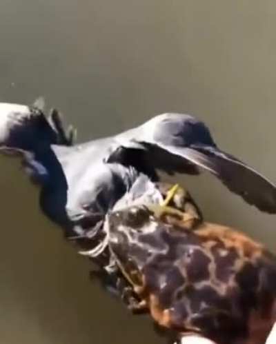 Is that a.....