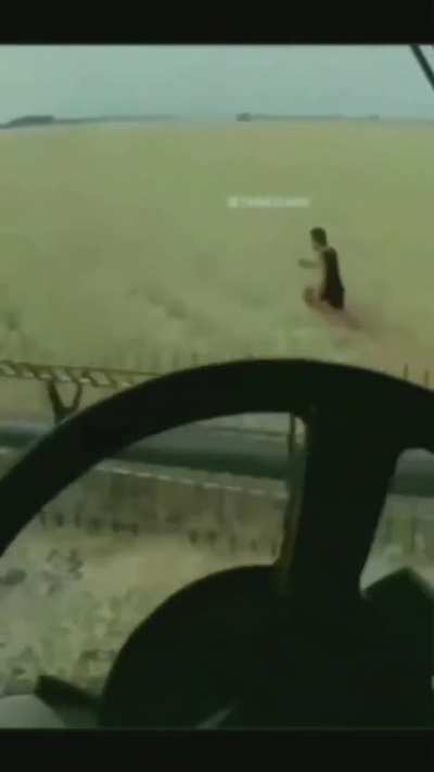 run forest run