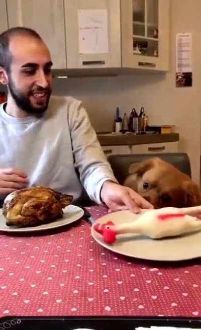 It's my chicken ?