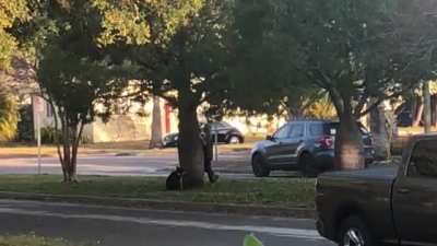 Tree huggers ?