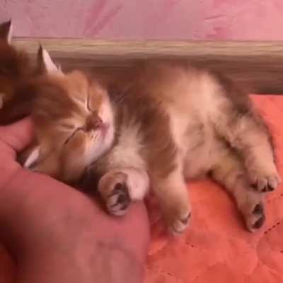 Smol boii feels sleepy after breaking stones all day in Jail
