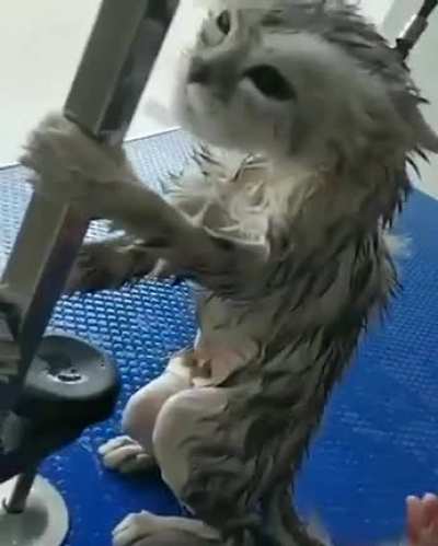 Your life ends tonight, human.