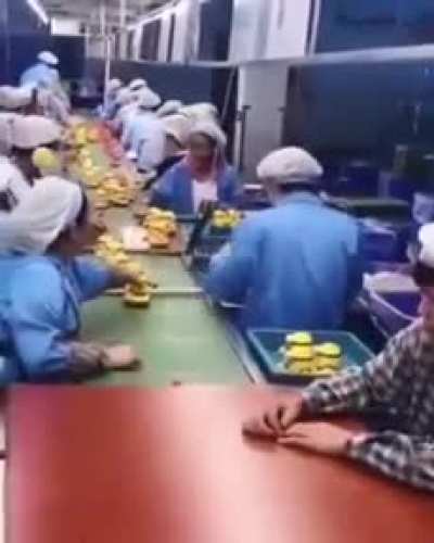 And the best job of the year award goes to: