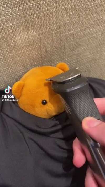 Smol bear!
