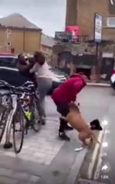 Woman walking Pitbull assists lady getting mugged; dog ends up attacking victim, then owner while mugger runs away.