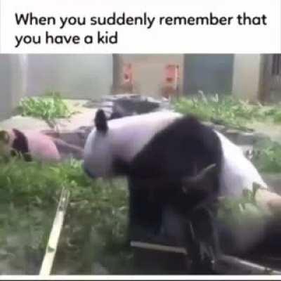 Panda Parenting
