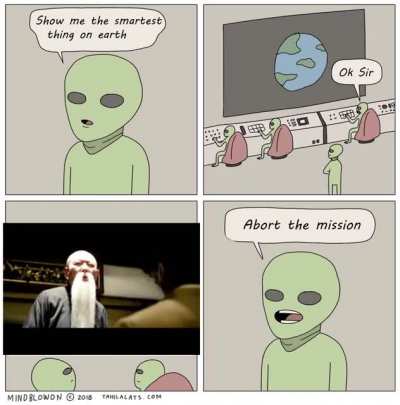 the smartest script in the movies
