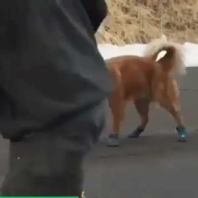 Wearing new boots