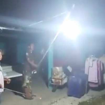 Fireball vs flies