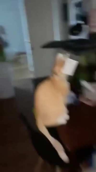 "HALP ME MOM!"