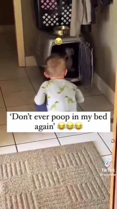 Don’t ever poop in my bed again!