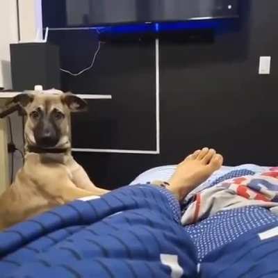 The best alarm does not exist ??