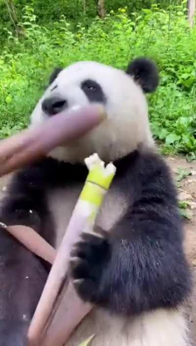 Yummy Yummy