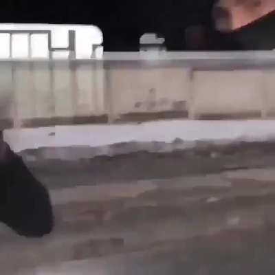 Cutting off the police on the street and walking up to their vehicle WCGW