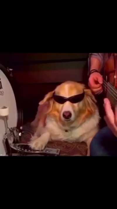 My new favorite band