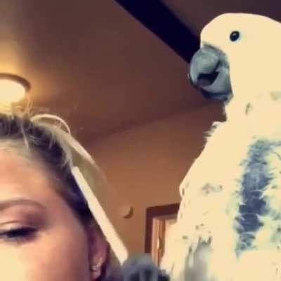 "Jill, excuse me, how do you spell 'bird'?"