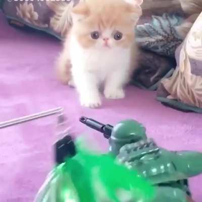 War is hell