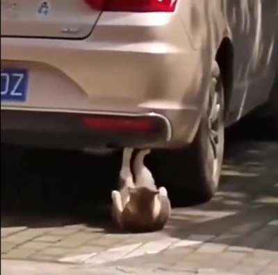 Street workout
