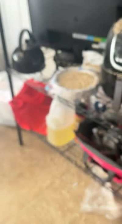 I just wanted to make a joke (i hate oatmeal)