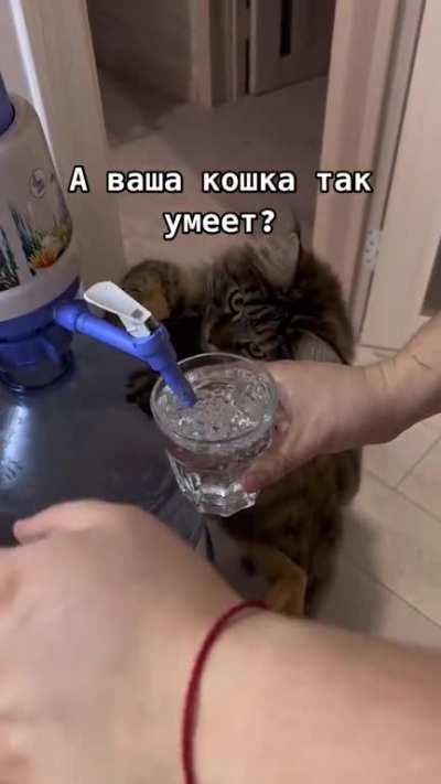 Let me pour you a drink