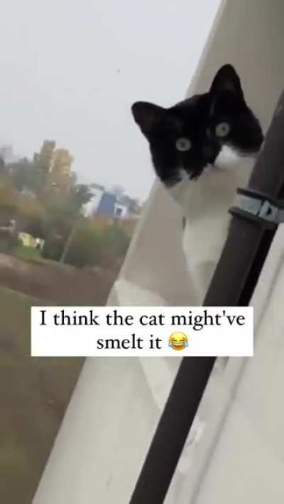 He know