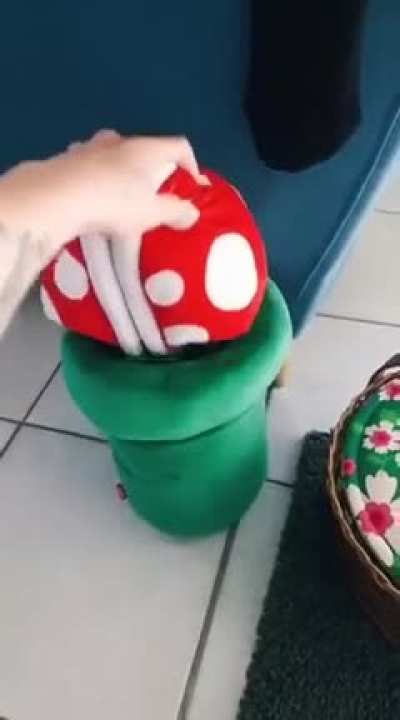 ? Wait what... WOOW! ?