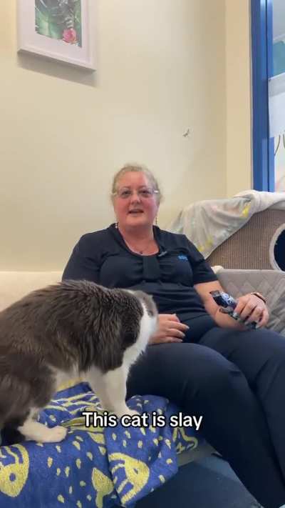 Shoutout to all the rescue queens at RSPCA ?? ????