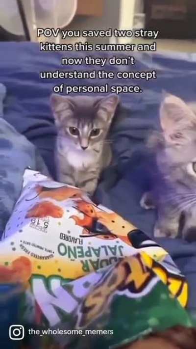 cute ?