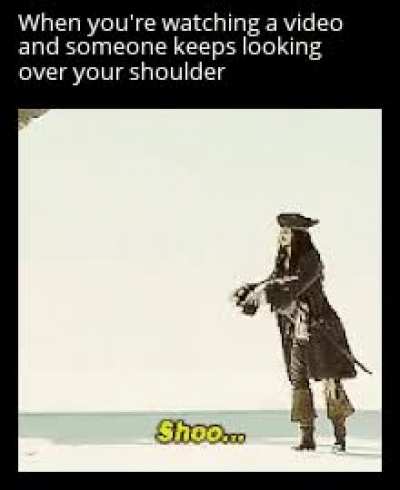 Shoo I say!