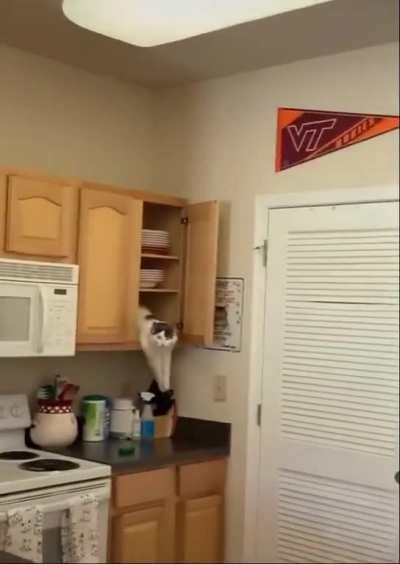 " And my plan will be a succe... o hey mom "