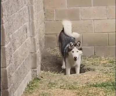 Caught red handed…