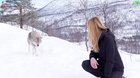 wolf saying hi