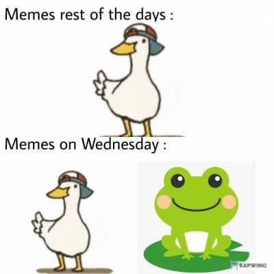 It's Wednesday my dudes