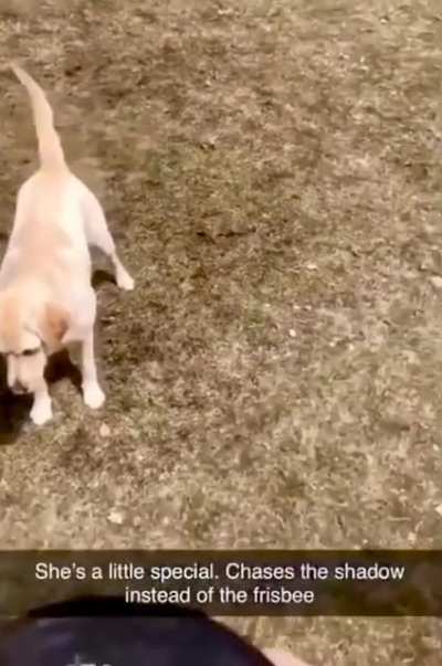 Trying her best.