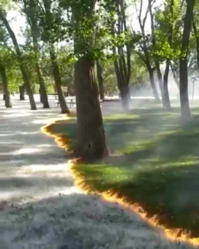 ? Cellulose filament being set ablaze