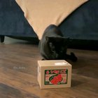 Busted!