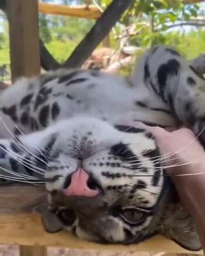 ?