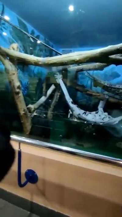 Maybe maybe maybe