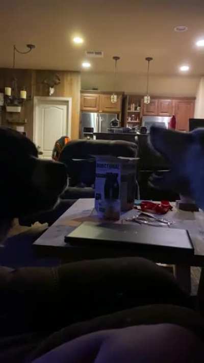 To be intimidating