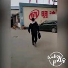 Watch dog die inside (watch till the end)