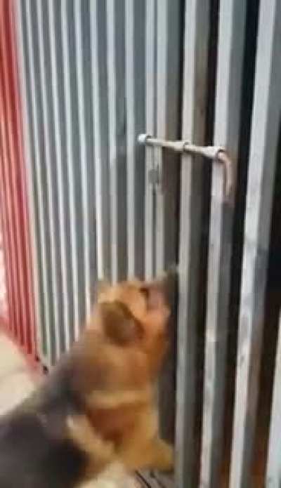 Maybe maybe maybe