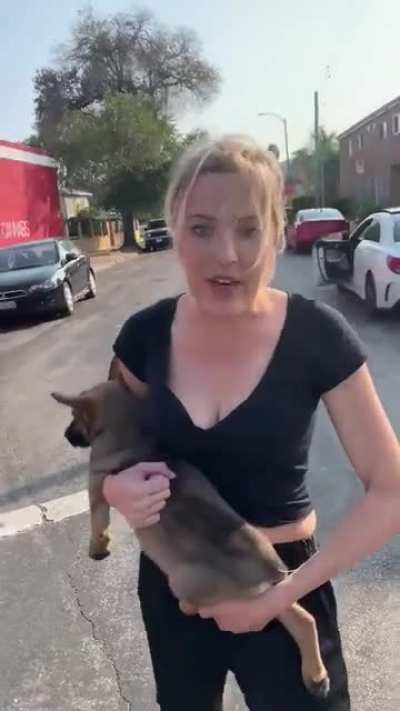 HMC as I abuse dogs